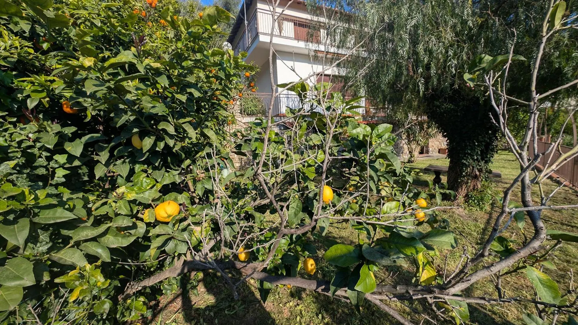 Villa La Casa Di Nonna Lorenna Alassio